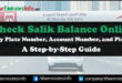 Check Salik Balance Online