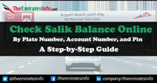Check Salik Balance Online