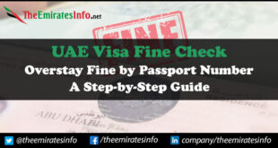 UAE Visa Fine Check